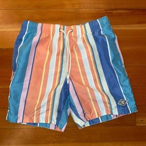 PacSun 17” Swim Trunks